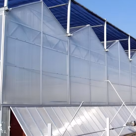 Agricultural Hydroponic Systems PC Sheet Board Polycarbonate Greenhouse for Panel Multi