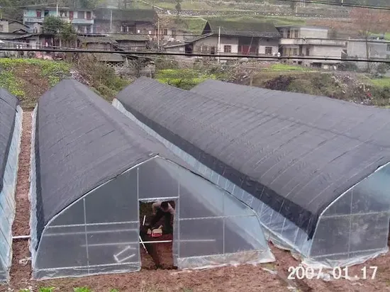 High Quality Single Arch Greenhouse Steel Structure