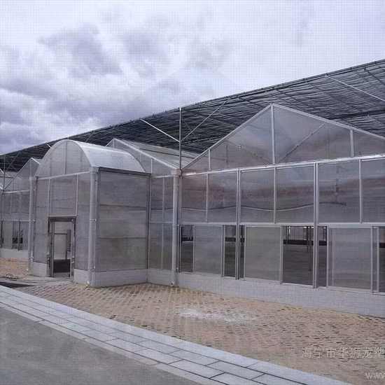PC Sheet Greenhouse for Flowers Growing up