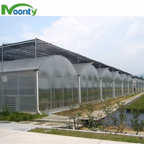 8mm/ 10mm Used Polycarbonate Greenhouse Commercial Multi Span/Single Span PC Sheet Greenhouse for Sale