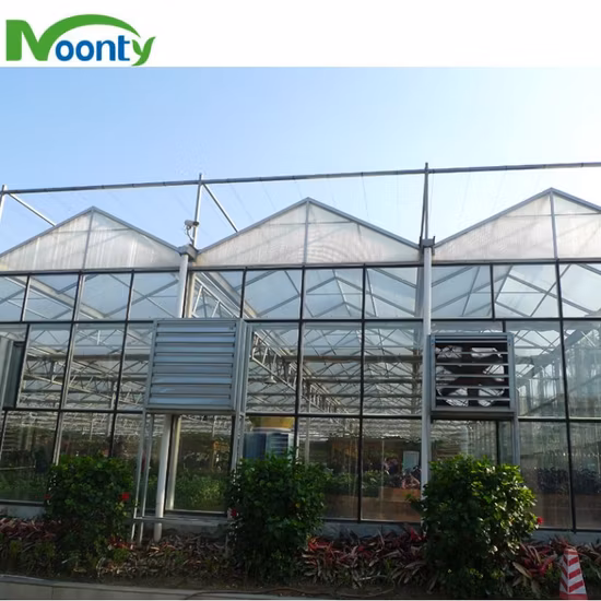 8mm/ 10mm Used Polycarbonate Greenhouse Commercial Multi Span/Single Span PC Sheet Greenhouse for Sale
