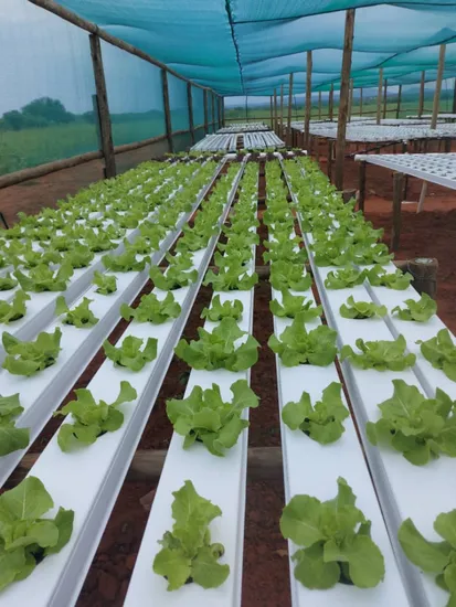Hydroponics System with Indoor and Outdoor Nft Channels Tower for Greenhouse Vegetable Outside/Inside Shading Heater Exhaust Fan