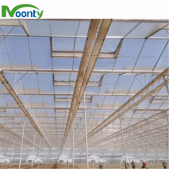 8mm/ 10mm Used Polycarbonate Greenhouse Commercial Multi Span/Single Span PC Sheet Greenhouse for Sale