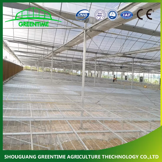 Mesh Commercial Rolling Bench System for Agricultural Planting Nursery