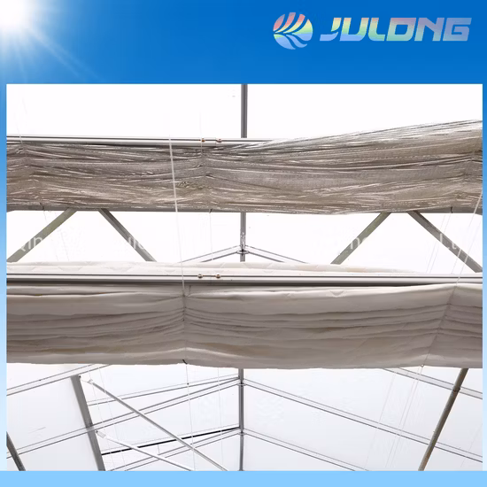 Professional Manufacture Building Materials Made of Commercial Venlo Glass Greenhouse for Garden Products