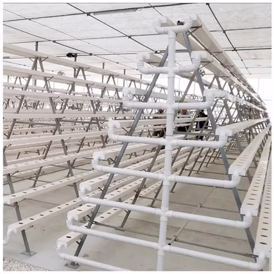 Commercial Food Grade PVC Hydroponic Nft Channel Pipe System for Greenhouse Planting