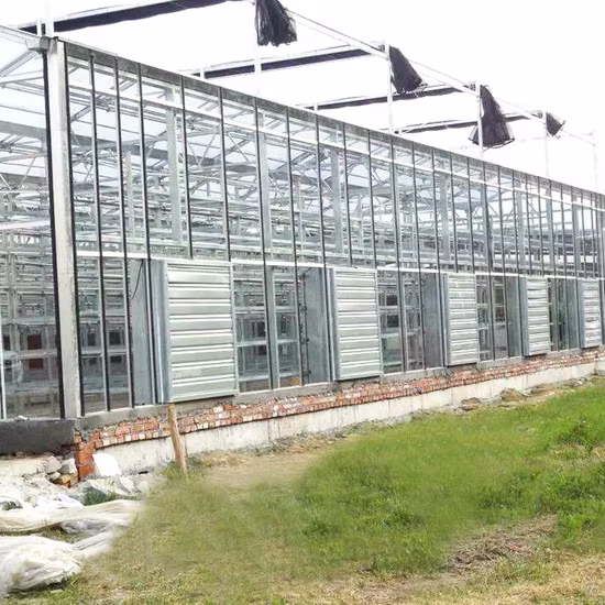 Production Greenhouse with Heating System