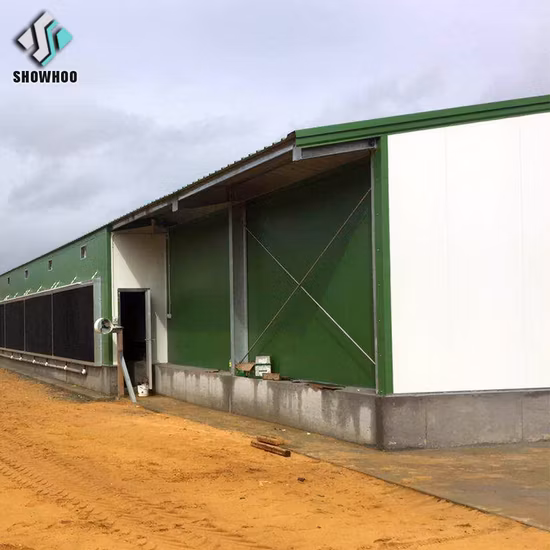 Automated Planting System Vertical Growing Rack Multilayers Smart Farm for Vegetables